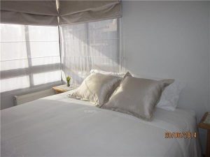 Arriendo departamento amoblado Providencia