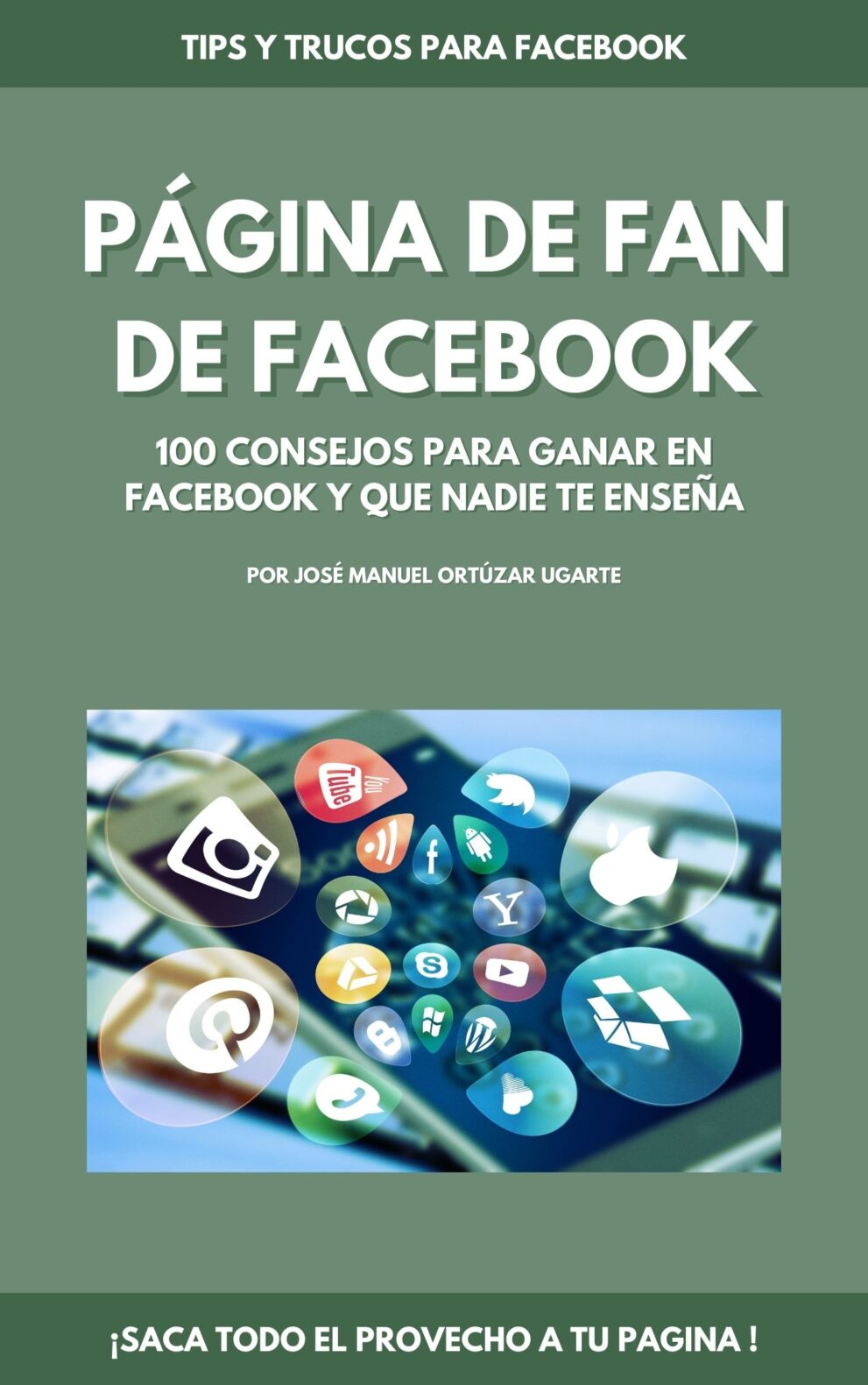 Página de Fans en Facebook-100 consejos y trucos