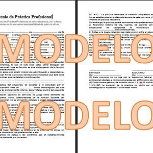 Convenio de Práctica Profesional