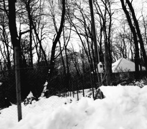 Un paisaje invernal en blanco y negro que muestra árboles altos y desnudos, rodeando un área cubierta de nieve. En el fondo, una casa pequeña y acogedora se asoma entre la vegetación, sugiriendo un contraste entre la calidez del hogar y el frío del invierno. La atmósfera es tranquila y melancólica, evocando la serenidad de una mañana de invierno.