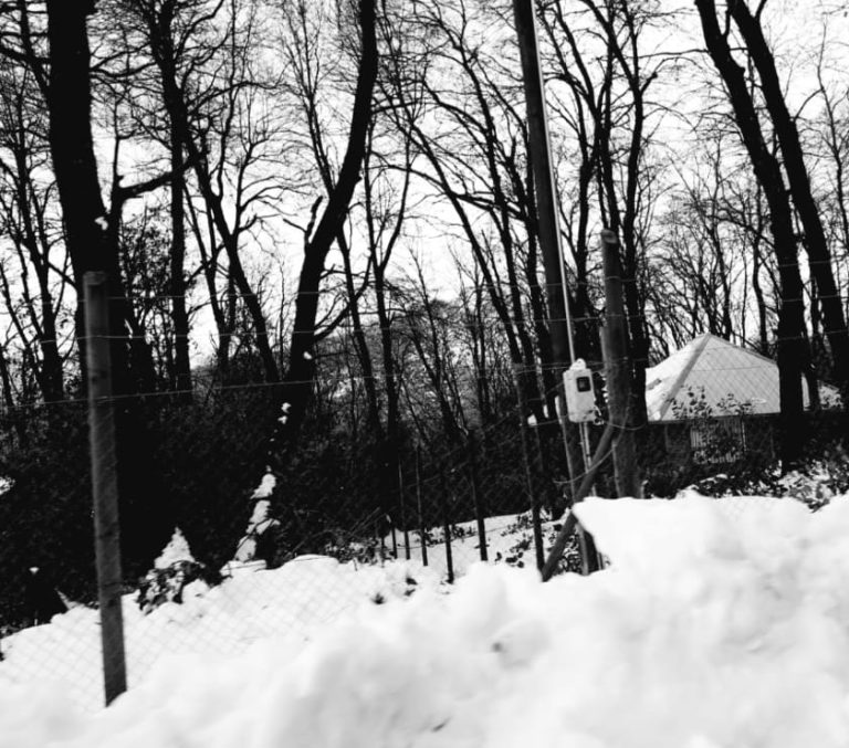 Un paisaje invernal en blanco y negro que muestra árboles altos y desnudos, rodeando un área cubierta de nieve. En el fondo, una casa pequeña y acogedora se asoma entre la vegetación, sugiriendo un contraste entre la calidez del hogar y el frío del invierno. La atmósfera es tranquila y melancólica, evocando la serenidad de una mañana de invierno.