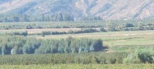 erreno en venta en Talca Oriente: 5000m², plano, vista espectacular y conectividad inigualable. Con agua de rebalse y luz eléctrica. ¡Oportunidad única por $45 millones!