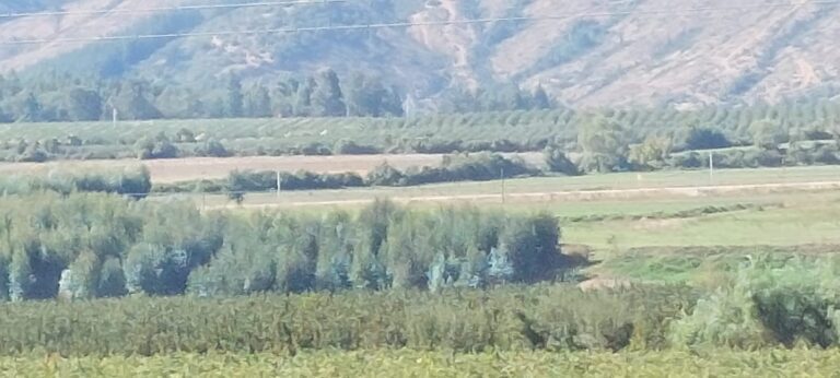 erreno en venta en Talca Oriente: 5000m², plano, vista espectacular y conectividad inigualable. Con agua de rebalse y luz eléctrica. ¡Oportunidad única por $45 millones!