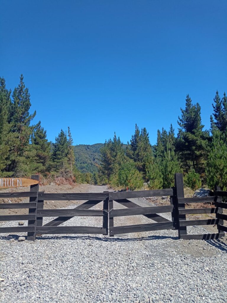 Parcela plana de 5000m2 en Challupen Escorial, Licanray, La Araucanía, con vista panorámica al volcán y bosque nativo, ofrecida por Ortúzar Propiedades-44826.