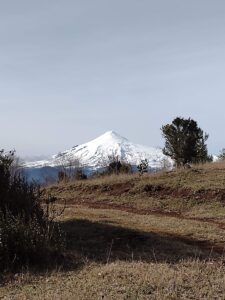 Parcela semi plana en venta en Afunalhue, Villarrica, La Araucanía. Terreno con agua y electricidad, ideal para inversión en el sur de Chile. Exclusiva de Ortúzar Propiedades.