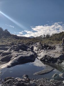 Vista de parcelas con bosque nativo en Coñaripe, Los Ríos. Ideal para inversión inmobiliaria, ofrecidas por Ortúzar Propiedades.