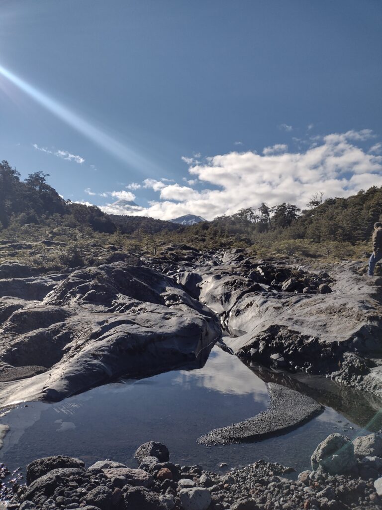 Vista de parcelas con bosque nativo en Coñaripe, Los Ríos. Ideal para inversión inmobiliaria, ofrecidas por Ortúzar Propiedades.