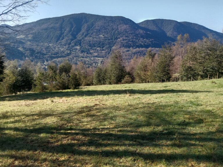 Vista aérea de parcelas en venta en Caburgua, La Araucanía, con abundante naturaleza y acceso a camino. Ideal para tu inversión con Ortúzar Propiedades-44826.