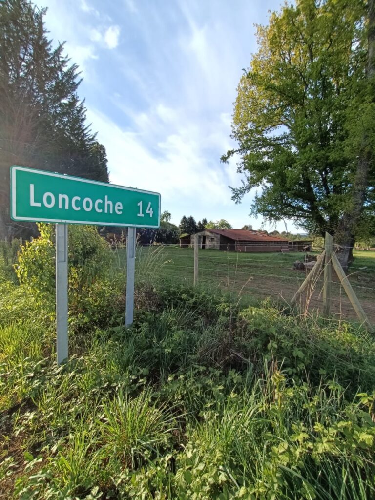 Vista de las 24 parcelas de 5000m² en Fundo San Nicolás, Loncoche, La Araucanía, Chile. Una excelente oportunidad de inversión ofrecida por Ortúzar Propiedades.