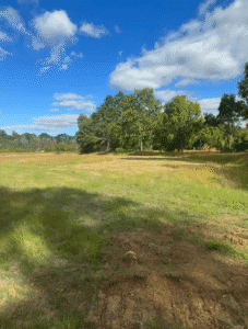 Vista de parcelas en Huiscapi, sector Pulingue, La Araucanía, con estero, bosque nativo y carretera. Oportunidad de inversión de Ortúzar Propiedades.