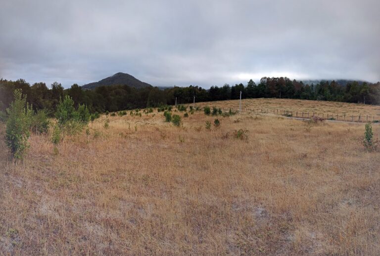 Vista de parcelas en Lomas de Chesque, Villarrica, con río y cordillera. Oportunidad de inversión de Ortúzar Propiedades.