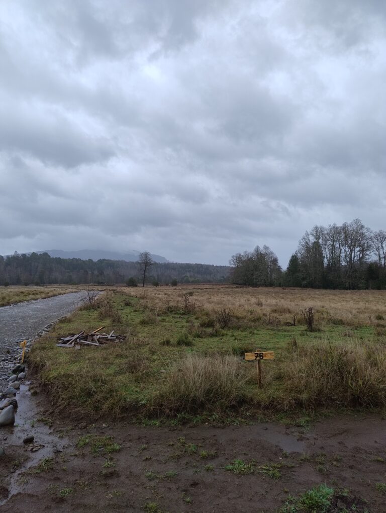 Vista de parcelas verdes en Loncoche, La Araucanía de Ortúzar Propiedades, con orilla de carretera y entorno natural. Ideal para inversión inmobiliaria.
