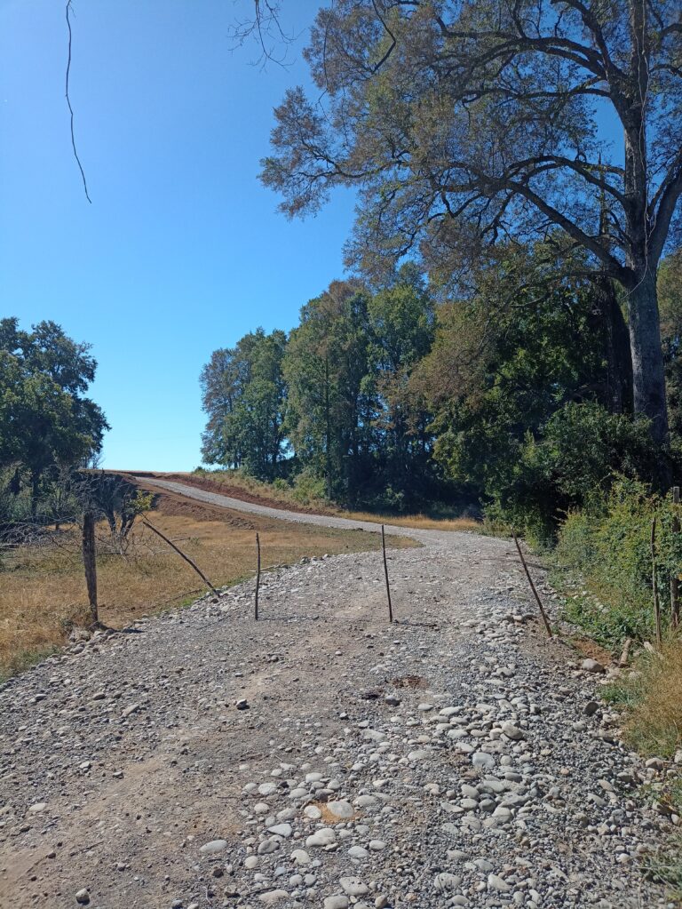 Vista de parcelas verdes en Loncoche, La Araucanía de Ortuzar Propiedades, ideales para inversión inmobiliaria y desarrollo de proyectos con acceso a carretera cerca del Lago Calafquén.