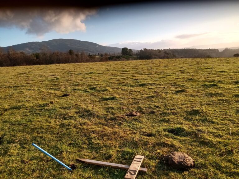 Parcelas en venta Proyecto Río Escondido Villarrica La Araucanía de 5000m² con agua y luz soterrada, vista del paisaje natural ofrecido por Ortúzar Propiedades.