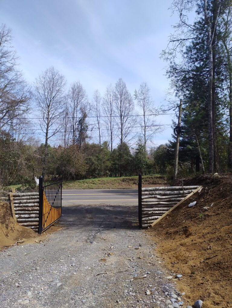 Vista de 2 parcelas planas de 5000m2 cada una, a orilla de carretera entre Villarrica y Licanray, La Araucanía. Terrenos ideales para inversión inmobiliaria, ofrecidos por Ortúzar Propiedades.