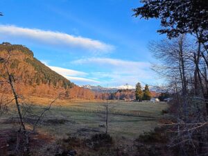 Vista del proyecto Terrazas de Huililco en Catripulli, La Araucanía, mostrando parcelas de 5000m² y 10000m² para inversión. Ortúzar Propiedades ofrece terrenos en el sur de Chile con vistas a la naturaleza.