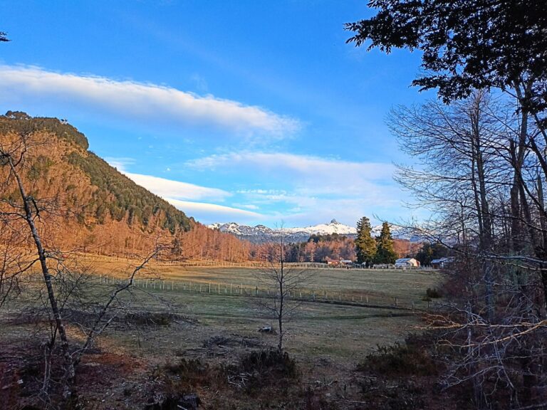 Vista del proyecto Terrazas de Huililco en Catripulli, La Araucanía, mostrando parcelas de 5000m² y 10000m² para inversión. Ortúzar Propiedades ofrece terrenos en el sur de Chile con vistas a la naturaleza.
